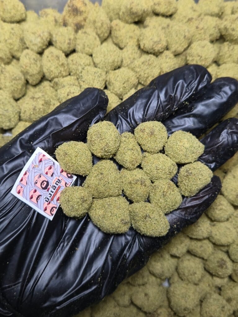 Moon rocks