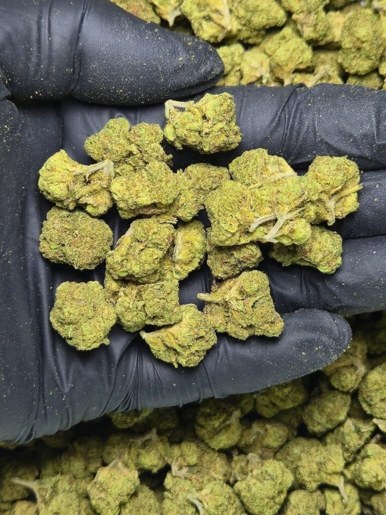 Black Truffle