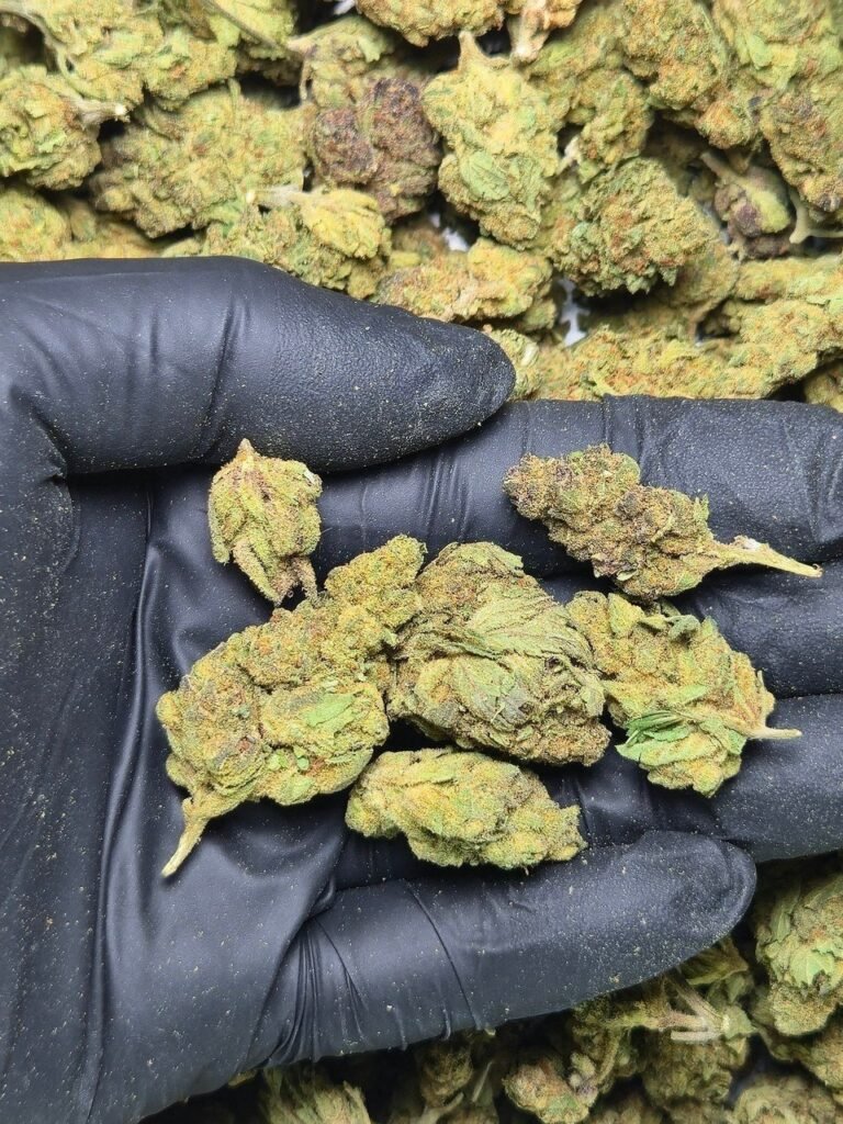 Bruce Banner