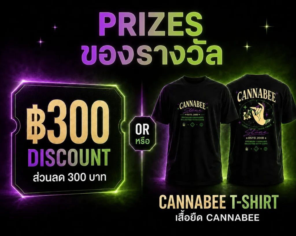 โปรโมชั่นพิเศษ