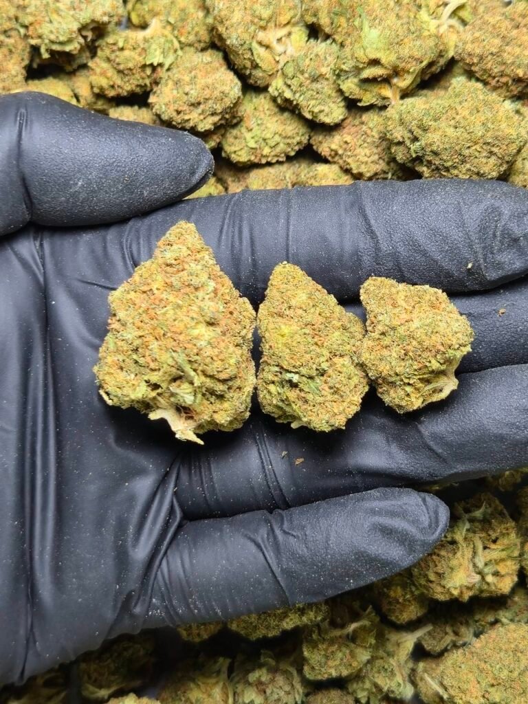 Do-si-dos