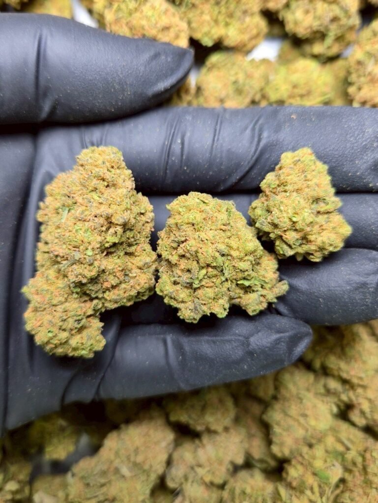Kandy Kush