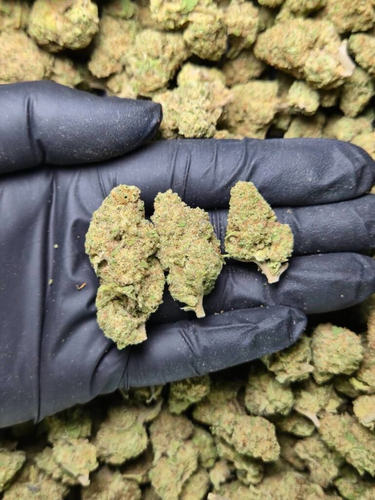 Peyote Cookies