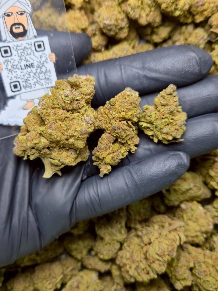 Runtz OG