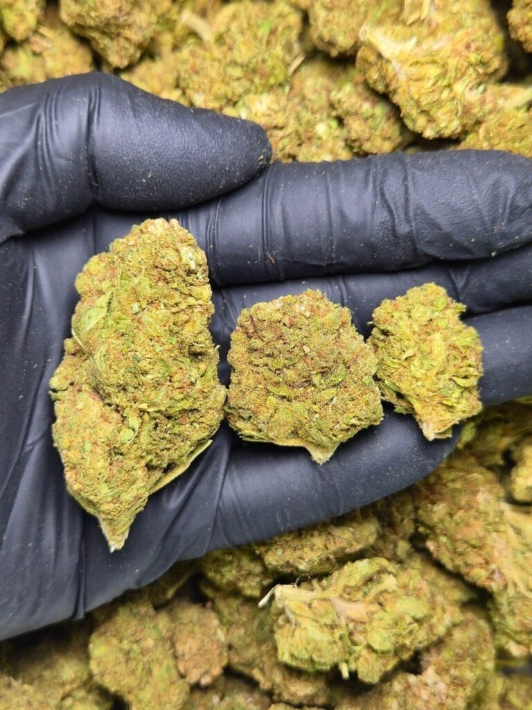 Sour Diesel