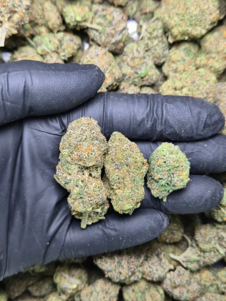 Sunset sherbet
