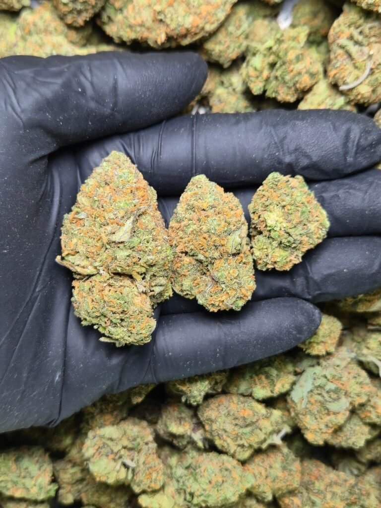 Super lemon haze