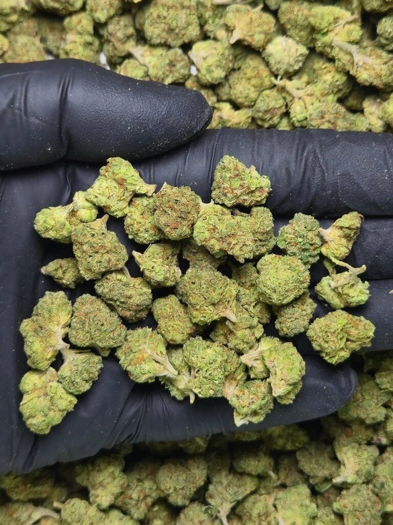 Tangie Cookies