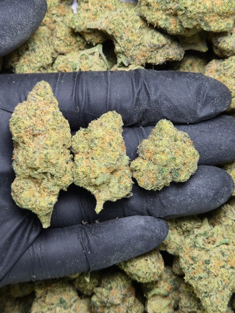 L.A. Banana